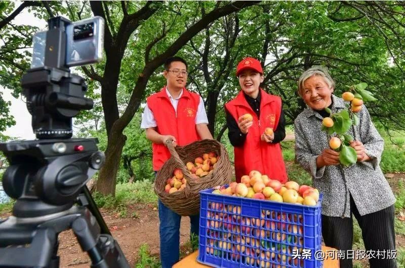 >河南日报农村版——红旗渠干部学院组织党员教师深入扶贫帮扶村林州市石板岩镇马鞍垴村开展“助力